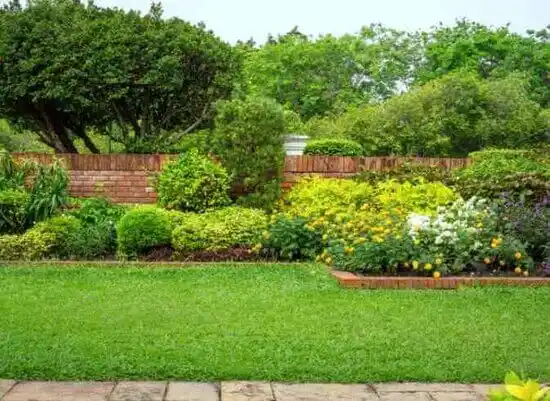 landscaping services Colmar Manor